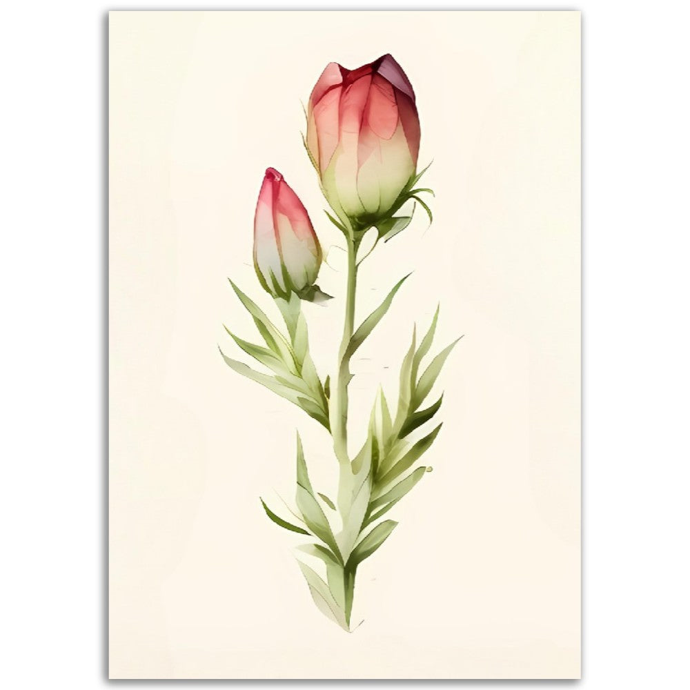 Illustration de Fleurs vintage -  Plante ancienne - Botanic - Toute en couleurs  - Poster - Affiche